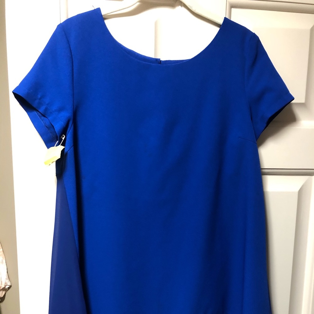 Royal Umgee blue blouse with see through long back